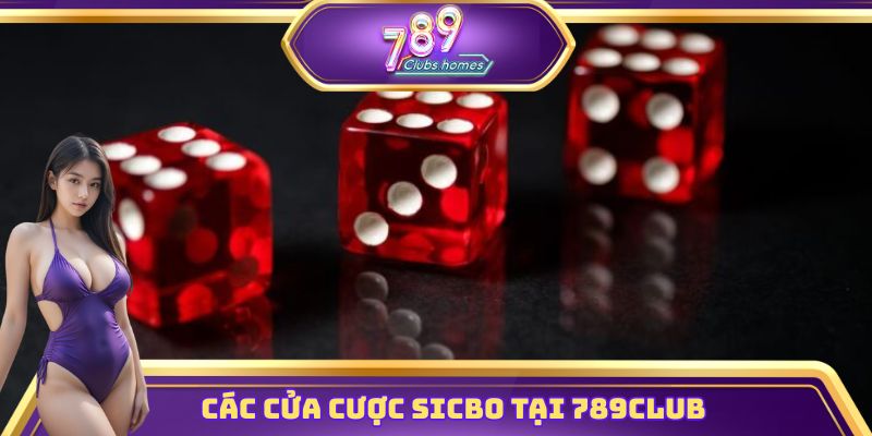 Tổng hợp các cửa cược có mặt trong sicbo